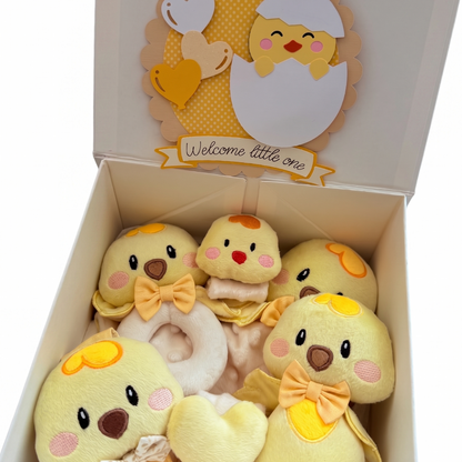 The Welcome Home Box (Chick)