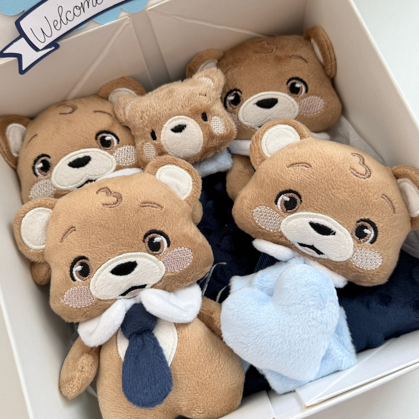 The Welcome Home Box (Bear)