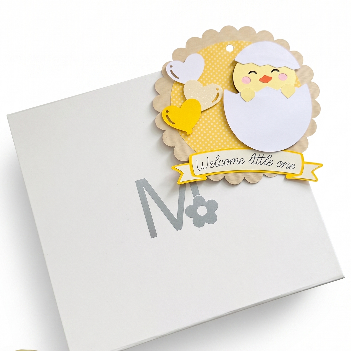 The Welcome Home Box (Chick)