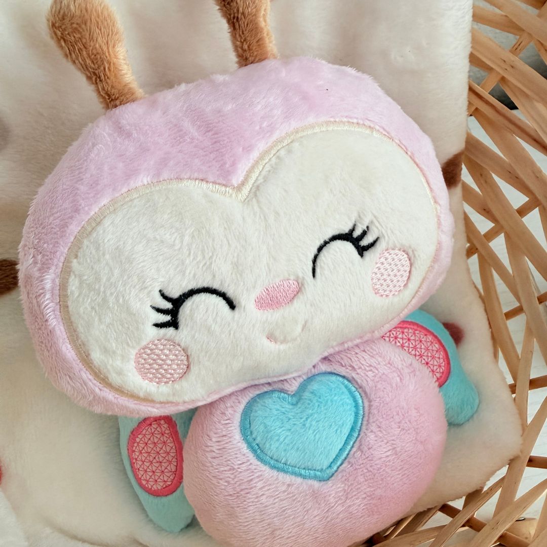 The Welcome Home Box — Luna the Butterfly
