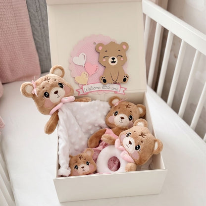 The Welcome Home Box — Miel the Bear